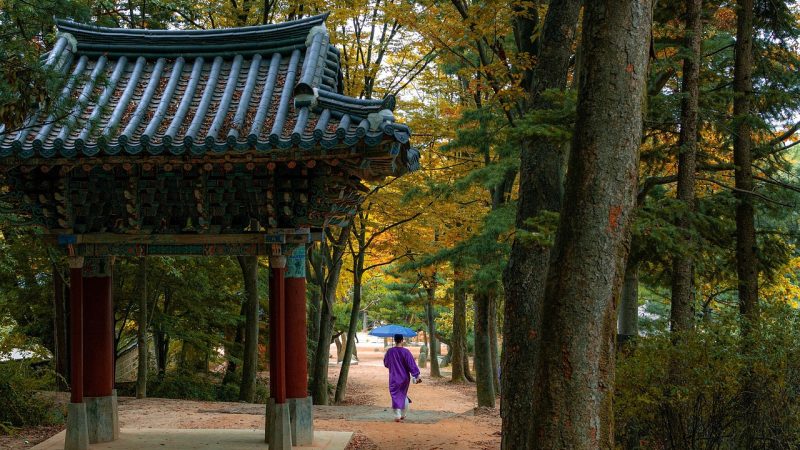 韩漫秘密教学 深度解读：新手五步上手，以及三个最容易踩的坑